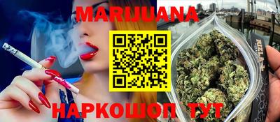 apvp Гатчина