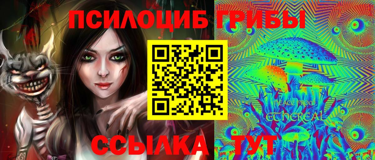 наркотики  Галлюциногенные грибы мицелий  Вход с VPN  Галлюциногенные грибы Psilocybe  Новосибирск 