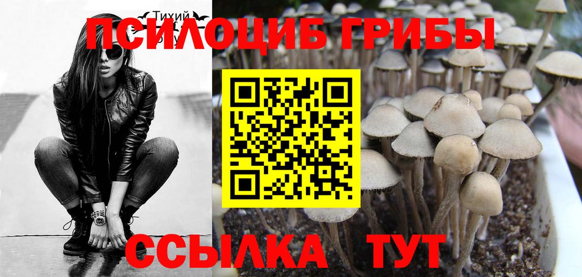 Марихуана  Вход с VPN  Новосибирск  COCAIN  ГАШ  МЕФ кристаллы 